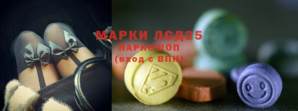 гидра Алексин