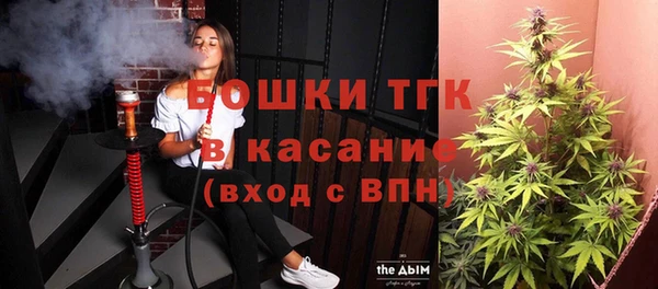 гидра Алексин